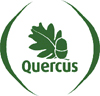 quercus.jpg